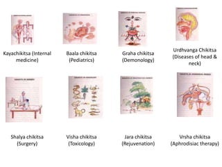 2. TRIO INDIAN MEDICINE