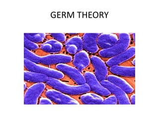 Rise of public health