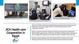 Healthcare system in Egypt (Egyptian healthcare system) | PDF