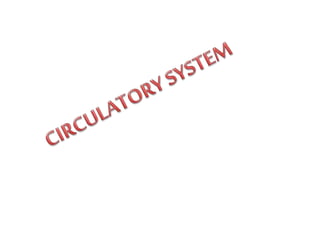 Health ciculatorysystem