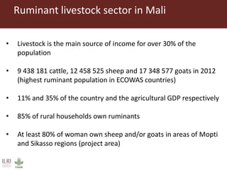 Participatory diagnostics of animal health service delivery systems in Mali