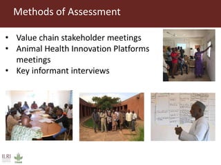 Participatory diagnostics of animal health service delivery systems in Mali