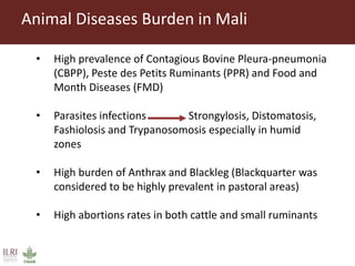 Participatory diagnostics of animal health service delivery systems in Mali