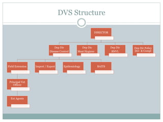 Depdev Structure Delivery of animal health services: Opportunities and challenges in ...