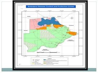 Delivery of animal health services: Opportunities and challenges in extensive systems in Botswana