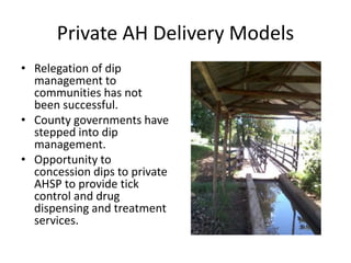 Delivery of animal health services in extensive livestock production systems in Kenya