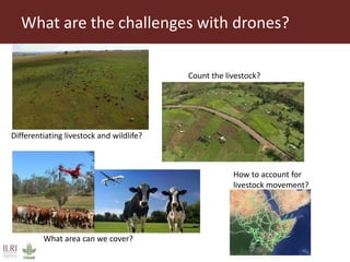 Geospatial technology in animal health delivery