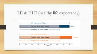 Disability indicators ppt PPTX