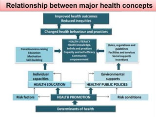 Relationship between major health concepts
 