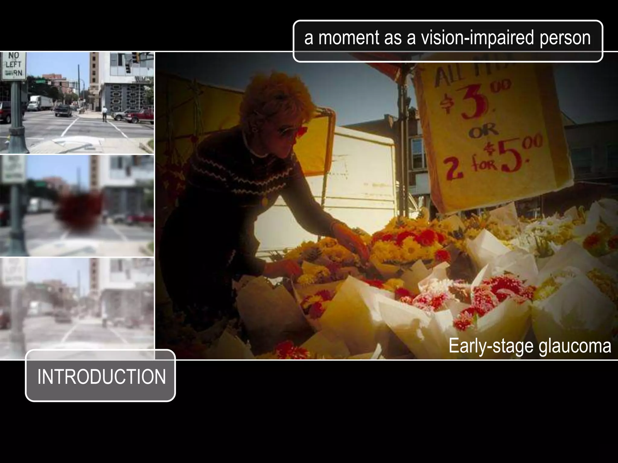 a moment as a vision-impaired person




                                 Early-stage glaucoma
INTRODUCTION
 