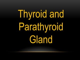Thyroid and
Parathyroid
Gland
 