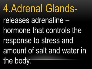 4.Adrenal Glands-
releases adrenaline –
hormone that controls the
response to stress and
amount of salt and water in
the body.
 