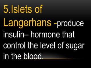 5.Islets of
Langerhans -produce
insulin– hormone that
control the level of sugar
in the blood.
 