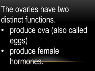 The ovaries have two
distinct functions.
• produce ova (also called
eggs)
• produce female
hormones.
 