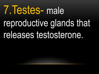7.Testes- male
reproductive glands that
releases testosterone.
 