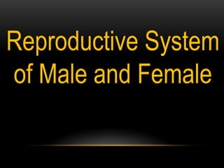 Reproductive System
of Male and Female
 