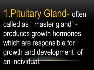 1.Pituitary Gland- often
called as “ master gland” -
produces growth hormones
which are responsible for
growth and development of
an individual.
 