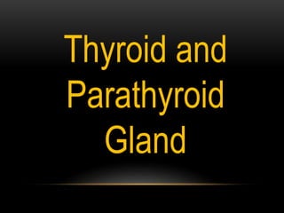 Thyroid and
Parathyroid
Gland
 