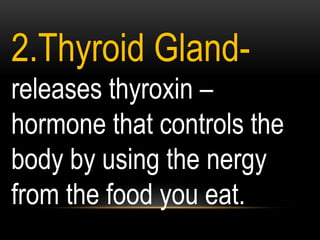 2.Thyroid Gland-
releases thyroxin –
hormone that controls the
body by using the nergy
from the food you eat.
 