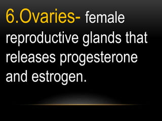 6.Ovaries- female
reproductive glands that
releases progesterone
and estrogen.
 
