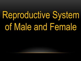 Reproductive System
of Male and Female
 