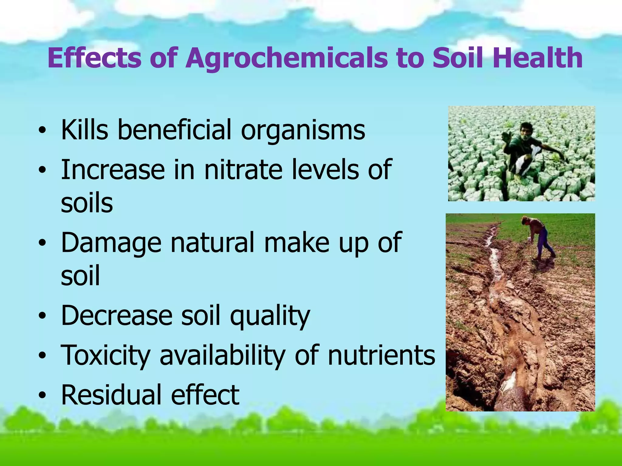 Health hazards of agrochemical inputs in our food | PPTX