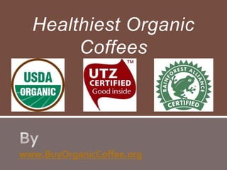 Healthiest Organic
Coffees

www.BuyOrganicCoffee.org

 