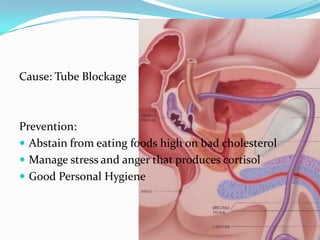 Cause: Tube Blockage



Prevention:
 Abstain from eating foods high on bad cholesterol
 Manage stress and anger that produces cortisol
 Good Personal Hygiene
 