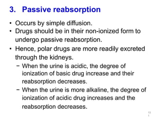 3. Passive reabsorption
• Occurs by simple diffusion.
• Drugs should be in their non-ionized form to
undergo passive reabsorption.
• Hence, polar drugs are more readily excreted
through the kidneys.
− When the urine is acidic, the degree of
ionization of basic drug increase and their
reabsorption decreases.
− When the urine is more alkaline, the degree of
ionization of acidic drug increases and the
reabsorption decreases.
15
1
 