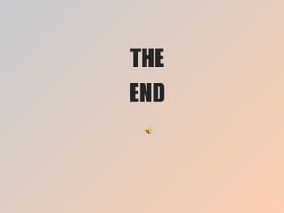 THE END 