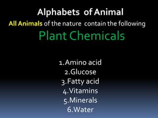 All Animals of the nature contain the following
Plant Chemicals
1.Amino acid
2.Glucose
3.Fatty acid
4.Vitamins
5.Minerals
6.Water
Alphabets of Animal
 
