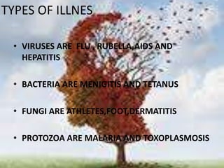 TYPES OF ILLNES
• VIRUSES ARE FLU , RUBELLA,AIDS AND
HEPATITIS
• BACTERIA ARE MENIGITIS AND TETANUS
• FUNGI ARE ATHLETES,FOOT,DERMATITIS
• PROTOZOA ARE MALARIA AND TOXOPLASMOSIS
 