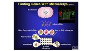 Health Lecture on molecular diagnosis and microarrays | PPTX
