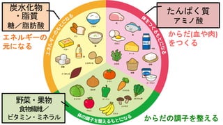 からだ(血や肉)
をつくる
炭水化物
・脂質
糖／脂肪酸
野菜・果物
食物繊維／
ビタミン・ミネラル
たんぱく質
アミノ酸
からだの調子を整える
エネルギーの
元になる
 