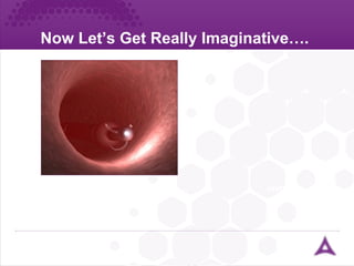 Now Let’s Get Really Imaginative…. ureter 