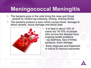 Meningococcal Meningitis Image: © Dorling Kindersley The bacteria grow in the cells lining the nose and throat - spread by contact eg sneezing, kissing, sharing drinks The bacteria produce a toxin which causes fever, damage to blood vessels, tissue damage and blood clots It is fatal in about 10% of cases but 10-15% of people who survive the disease have ongoing health problems - eg deafness, loss of limbs, paralysis, brain damage Early diagnosis and treatment is critical to improve outcomes. 
