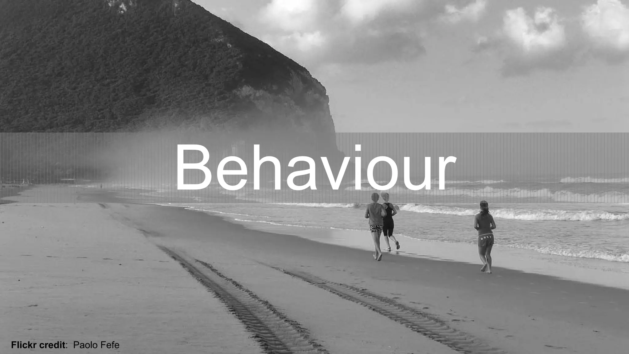 Behaviour
Flickr credit: Paolo Fefe
 