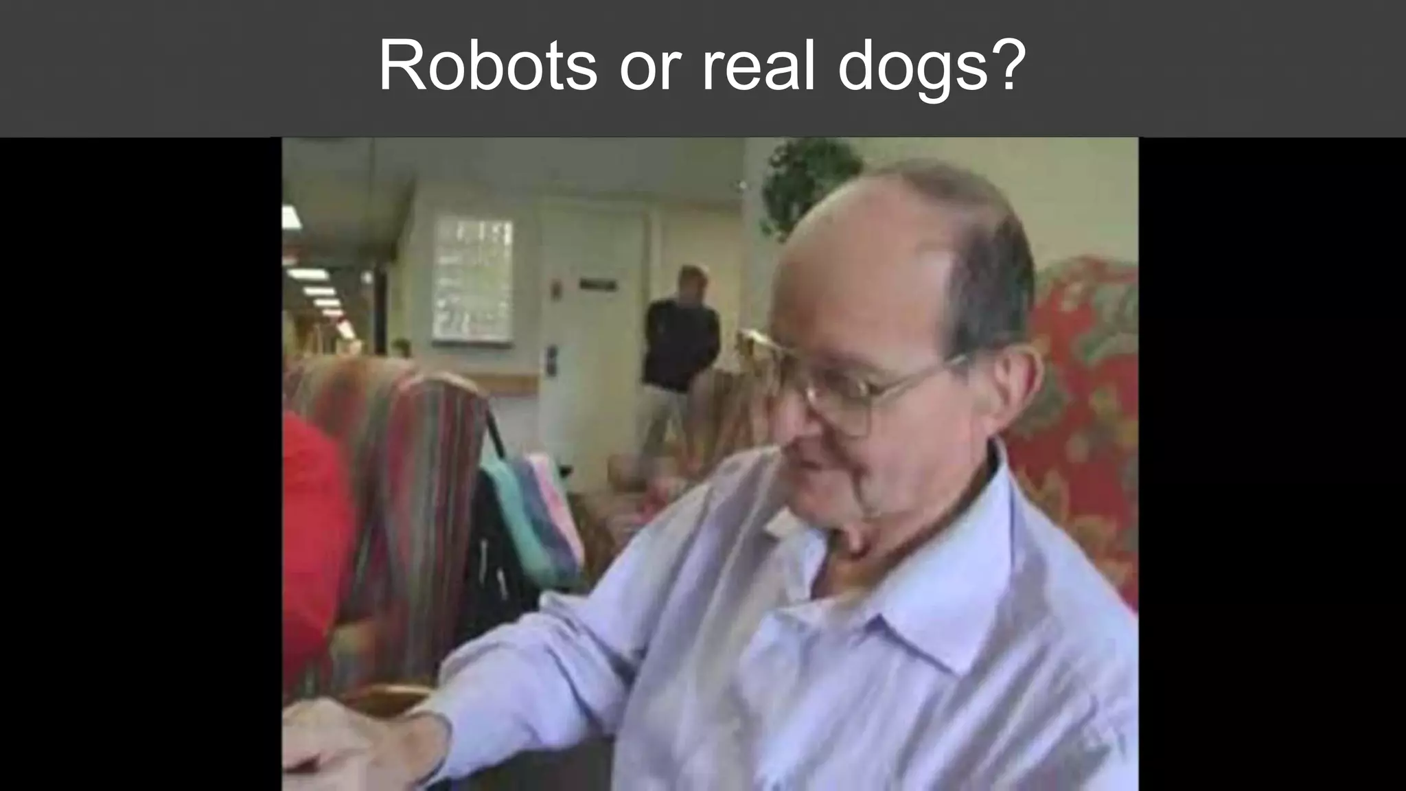Robots or real dogs?
 