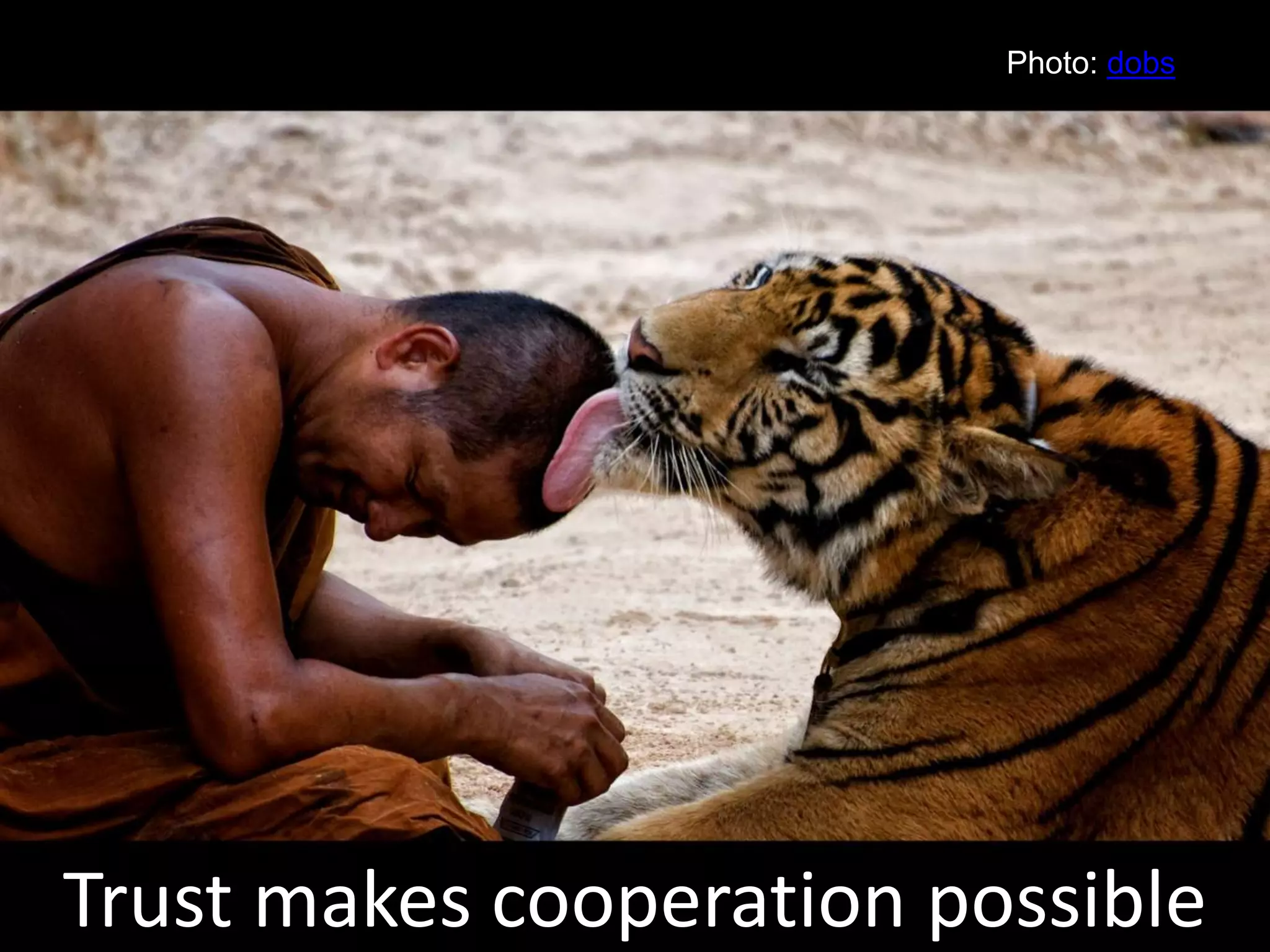 Trust makes cooperation possible
Photo: dobs
 