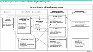 Health Inequalities in India | PPTX