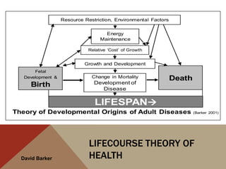 Resource Restriction, Environmental Factors


                                    Energy
                                  Maintenance

                             Relative „Cost‟ of Growth


                            Growth and Development
       Fetal
   Development &               Change in Mortality               Death
     Birth                      Development of
                                   Disease

                                LIFESPAN
Theory of Developmental Origins of Adult Diseases                        (Barker 2001)




                              LIFECOURSE THEORY OF
  David Barker                HEALTH
 