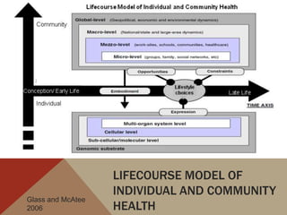 LIFECOURSE MODEL OF
                   INDIVIDUAL AND COMMUNITY
Glass and McAtee
2006               HEALTH
 