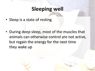 Sleeping well
• Sleep is a state of resting
• During deep sleep, most of the muscles that
animals can otherwise control are not active,
but regain the energy for the next time
they wake up
 