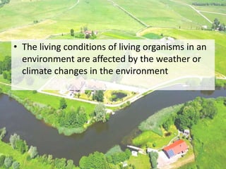 • The living conditions of living organisms in an
environment are affected by the weather or
climate changes in the environment
 