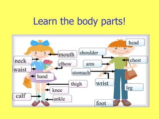 Learn the body parts! neck stomach leg hand foot knee mouth elbow ankle head chest arm wrist waist shoulder calf thigh 