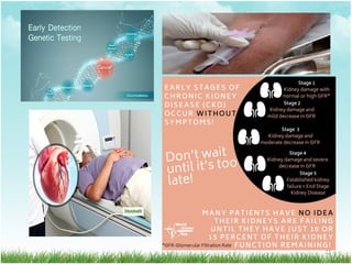 Comprehensive Strategies for Health Promotion and Disease Prevention | PDF
