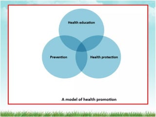 Comprehensive Strategies for Health Promotion and Disease Prevention | PDF