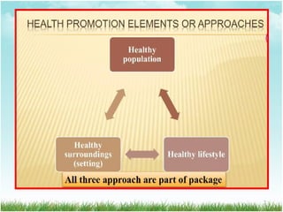 Comprehensive Strategies for Health Promotion and Disease Prevention | PDF