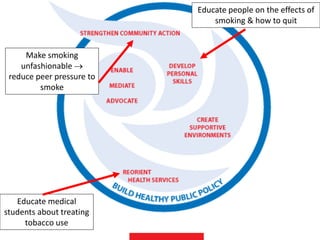Health Policy Topic Examples Health Promotion and health policy merged.pdf