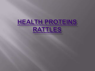 Health proteins Rattles 